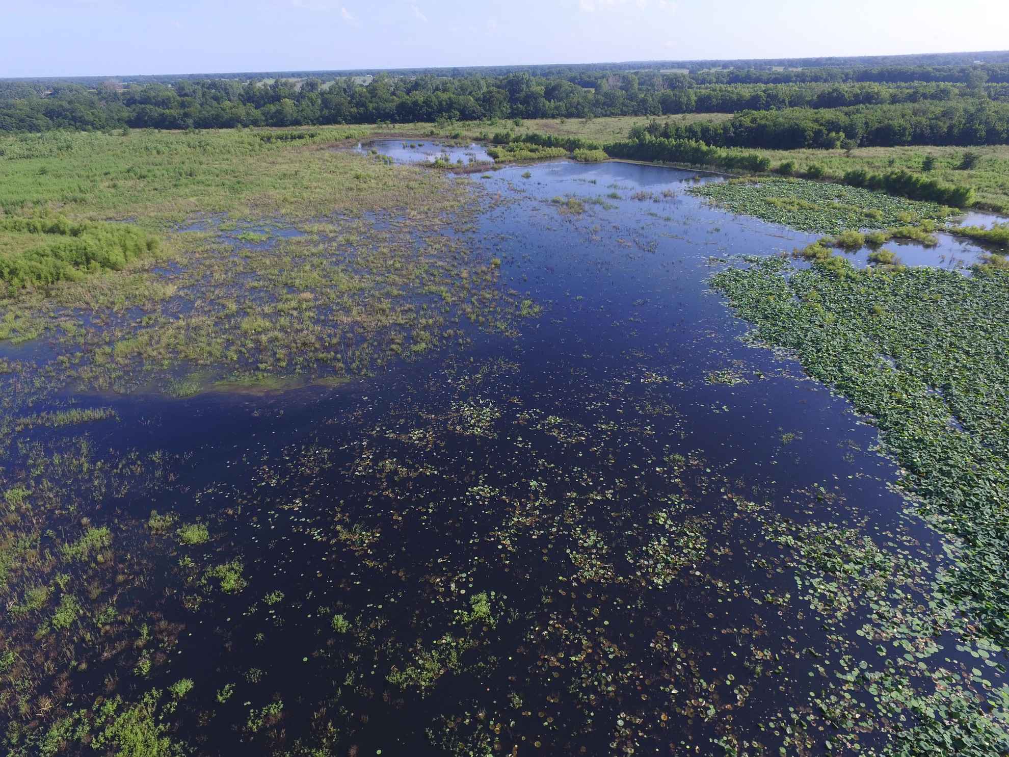 835 acres in Delta County, Texas Century 21 Harvey Properties