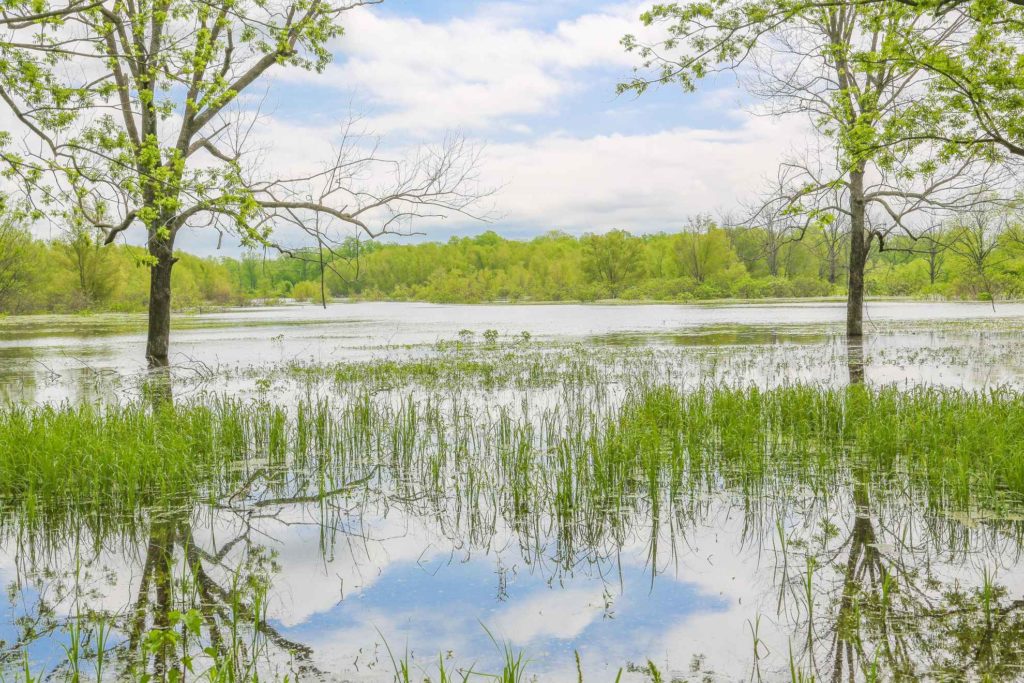 Pecan Point Century 21 Harvey Properties